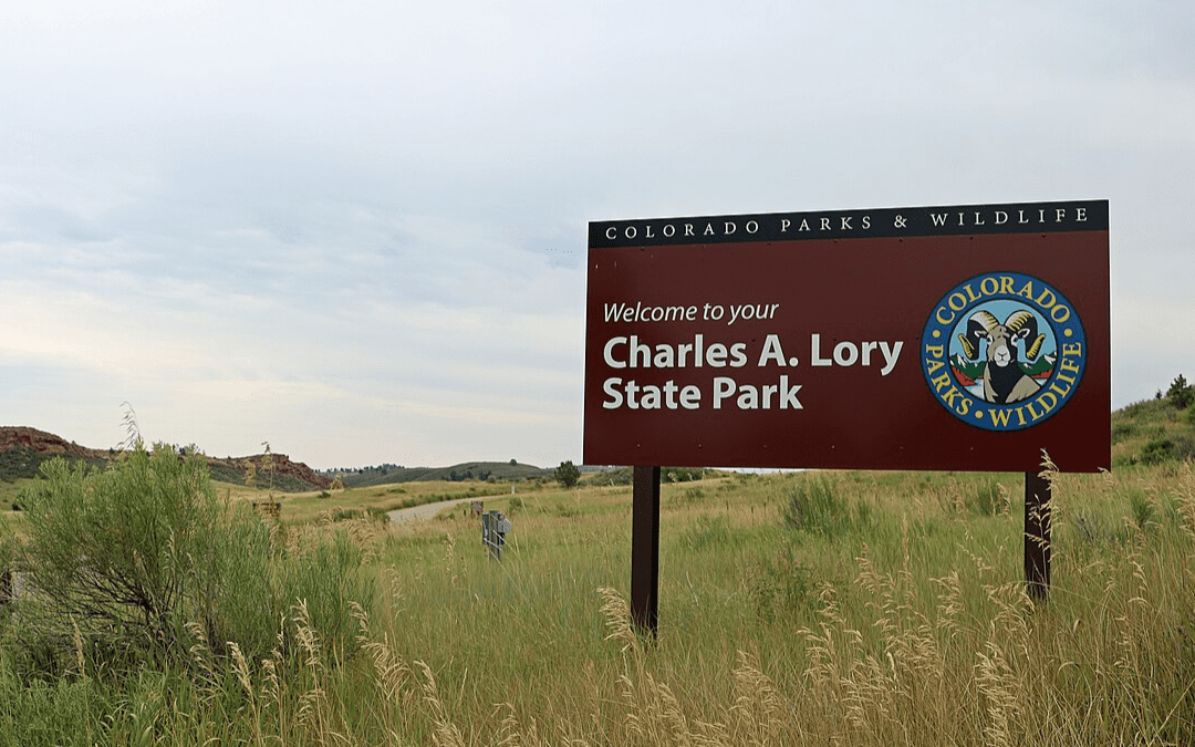 Where to See Wildlife In and Around Fort Collins