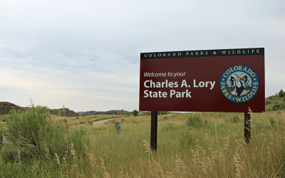 Where to See Wildlife In and Around Fort Collins