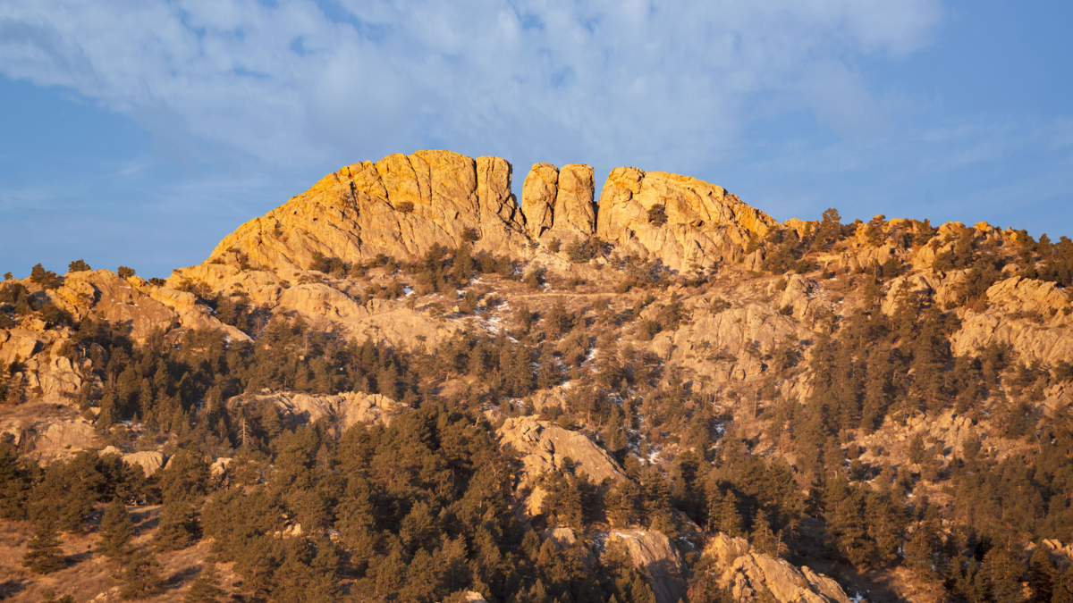 honest things about Fort Collins