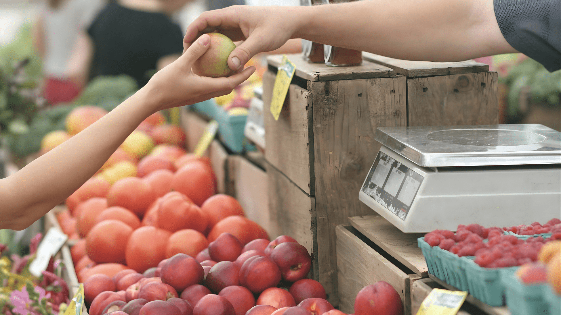 Fort Collins Farmers Markets