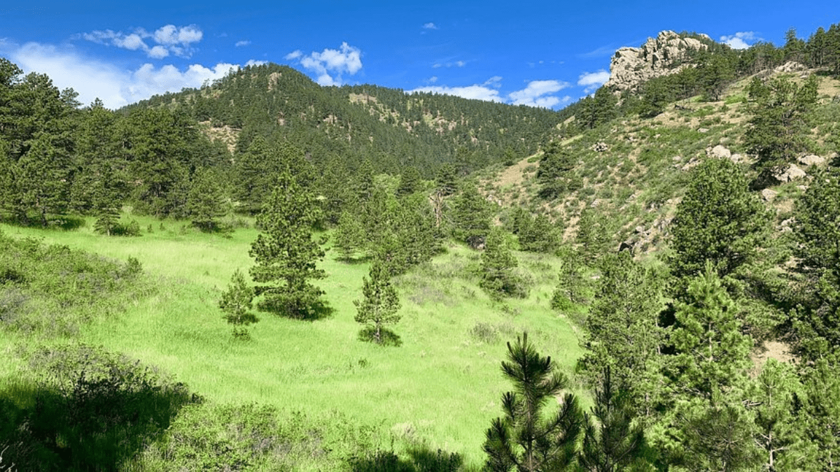 Best Fishing Spots In and Around Fort Collins