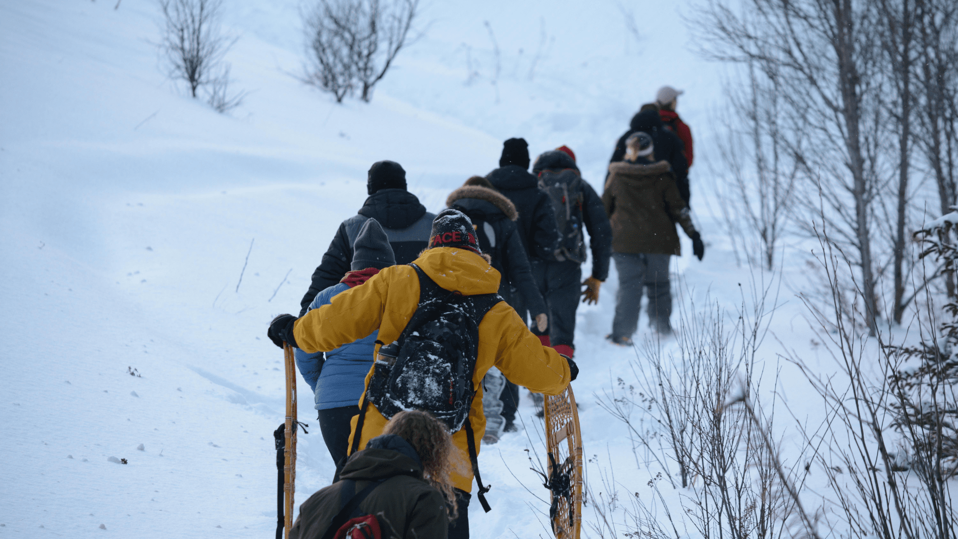 Winter Activities in Northern Colorado